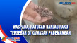 Waspada, Ratusan Ranjau...