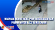 Waspada Modus Baru,...