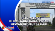 PMK Meluas di Banjarnegara,...