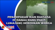 Penampakan Ikan Raksasa...