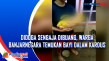 Diduga Sengaja Dibuang,...