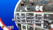 Raup Untung dari Budidaya...