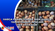Harga Pakan Ternak Naik,...