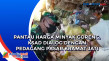 Pantau Harga Minyak...