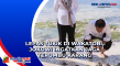 Lepas Tukik di Wakatobi,...