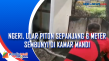 Ngeri, Ular Piton Sepanjang...