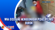 WNA Diserang Menggunakan...