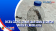 Dikira Kucing, Seekor...