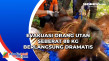 Evakuasi Orang Utan...