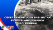 Geger Kemunculan Babi...