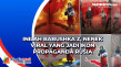 Inilah Babushka Z, Nenek...