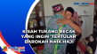 Kisah Tukang Becak yang...