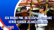 Ada Wabah PMK, Ini Kesiapan...
