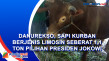 Danurekso, Sapi Kurban...