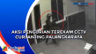 Aksi Pencurian Anjing...