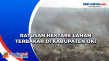 Ratusan Hektare Lahan...