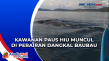 Kawanan Paus Hiu Muncul...