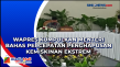 Wapres Kumpulkan Menteri...