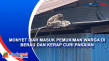 Monyet Liar Masuk Pemukiman...