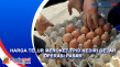 Harga Telur Meroket...