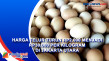 Harga Telur Turun Rp2.000...