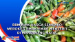 BBM Naik Harga Sembako...