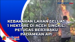Kebakaran Lahan Seluas...