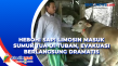 Heboh! Sapi Limosin...