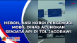 Heboh, Aksi Koboi Pengemudi...