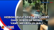 Heboh, Bule Seksi Berjoget...