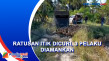 Ratusan Itik Dicuri,...
