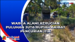 Warga Alami Kerugian...