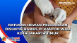Ratusan Hewan Peliharaan...