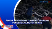 Pohon Kedondong Tumbang,...
