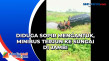 Diduga Sopir Mengantuk,...