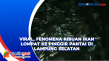 Viral, Fenomena Ribuan...