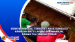 Siswi Meninggal Terseret...