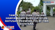 Tanpa Topi dan Tongkat...