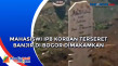 Mahasiswi IPB Korban...