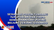 Sejumlah Pohon Tumbang...