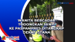 Wanita Bercadar Todongkan...