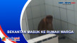 Bekantan Masuk Rumah...