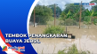 Banjir Bikin Tembok...