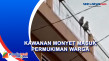 Bikin Resah, Kawanan...