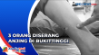 Anjing Serang Warga,...