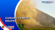 Gunung Semeru Erupsi,...