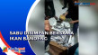 Penyelundupan 21 Kilogram...