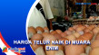 Harga Telur Tembus Rp30...