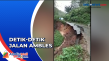 Video Amatir Rekam Detik-Detik...