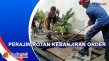 Ular Sanca di Kolam...